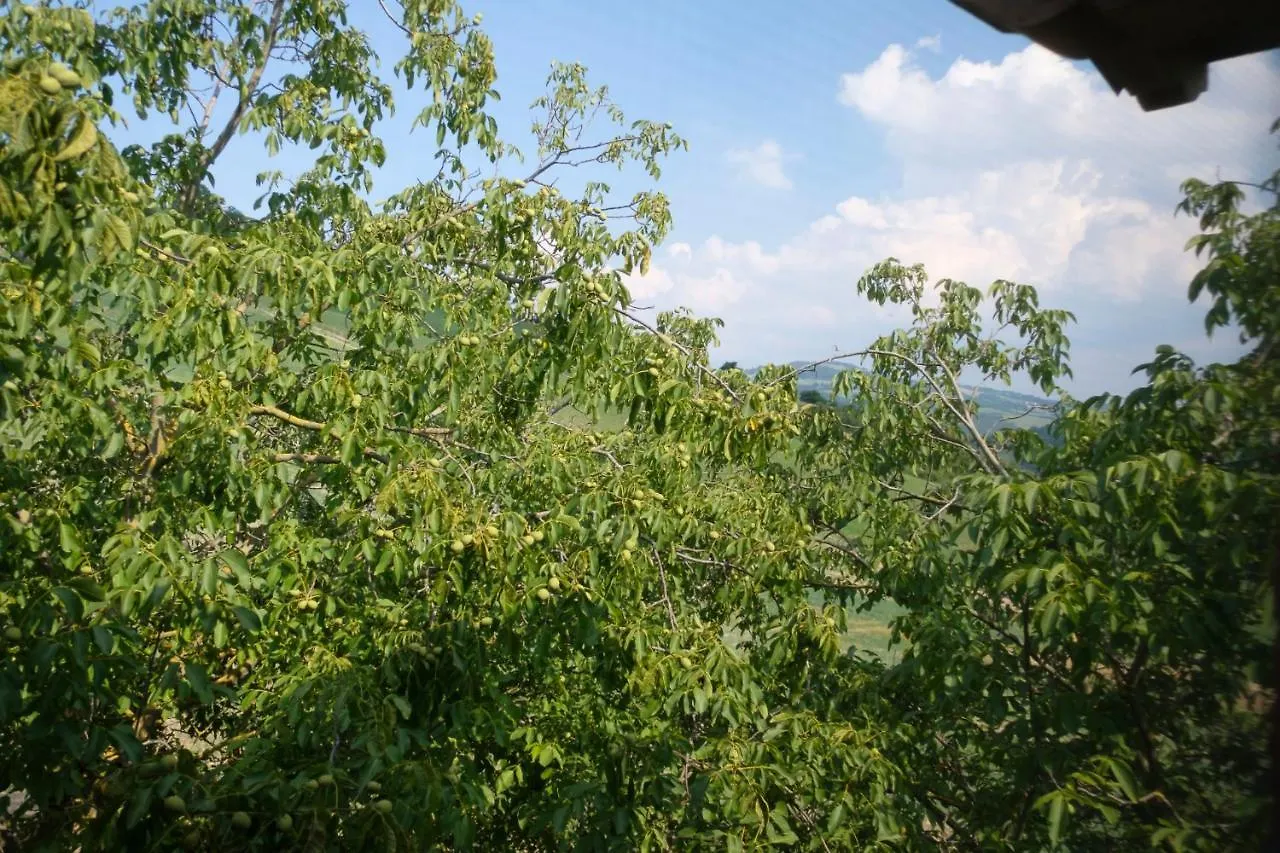 Al Sasseto B&B Montagnana  Montagnana (Modena)